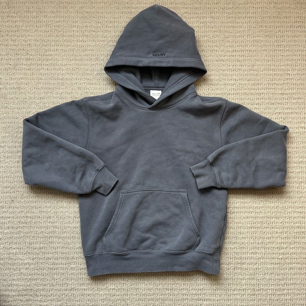 Aritzia Blue Sweatfleece  Hoodie